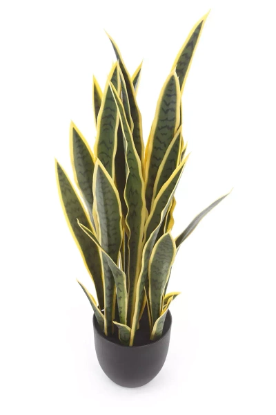 Sztuczna Sanseveria laurentii 90 cm zielono-żółta