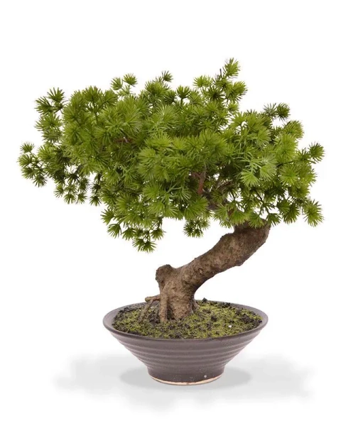 Sztuczny Bonsai Pinia Sosna 40 cm w ozdobnej doniczce