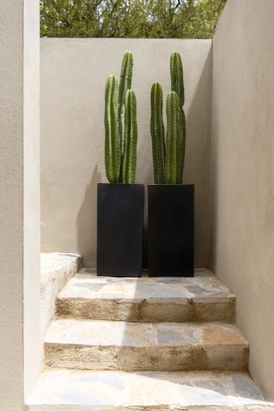 Sztuczny Kaktus San Pedro XL 100 cm