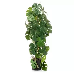 Sztuczna Monstera 75 cm 3 pnie