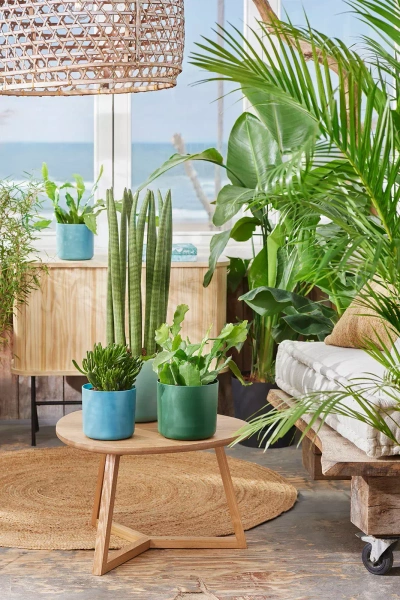 Zestaw do hydroponiki 13/12 osłona Ocean zielony pacyfik