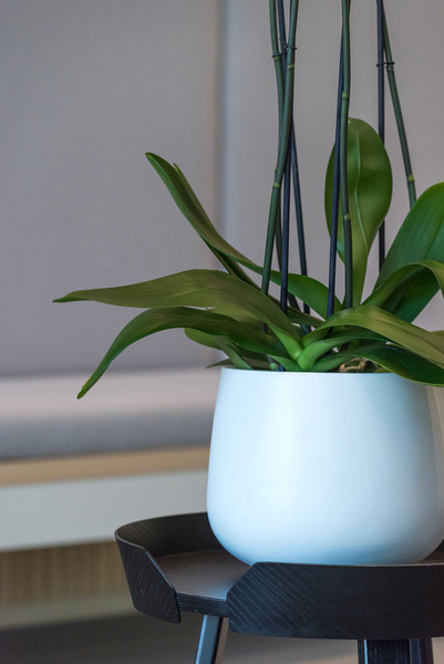 Kevan M 25/21 czarna doniczka naturalna kamienna