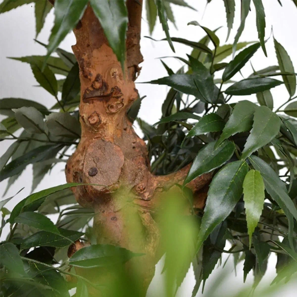 Sztuczny Bonsai Shirakashi 80 cm