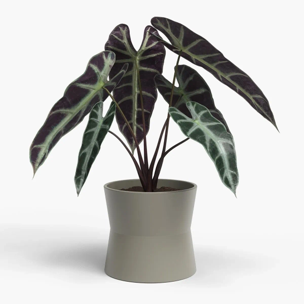 Diana 11/10 brązowa osłonka ceramiczna designerska taupe