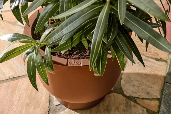 Amber Grail 30/28 karmelowa donica na stopie