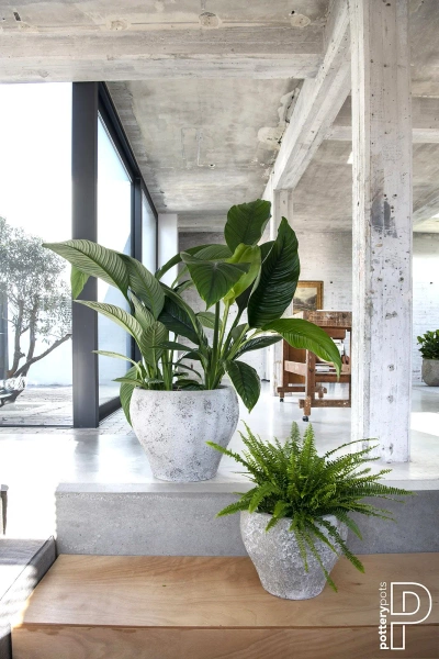 Claire S 54/44 naturalna osłonka kamienna cesarska biel