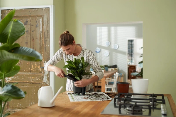 System nawadniający do roślin w ziemi 43/39 cm Elho uniwersalny