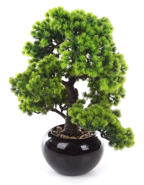 Sztuczny Bonsai Larch 48x35 w czarnej ceramicznej doniczce