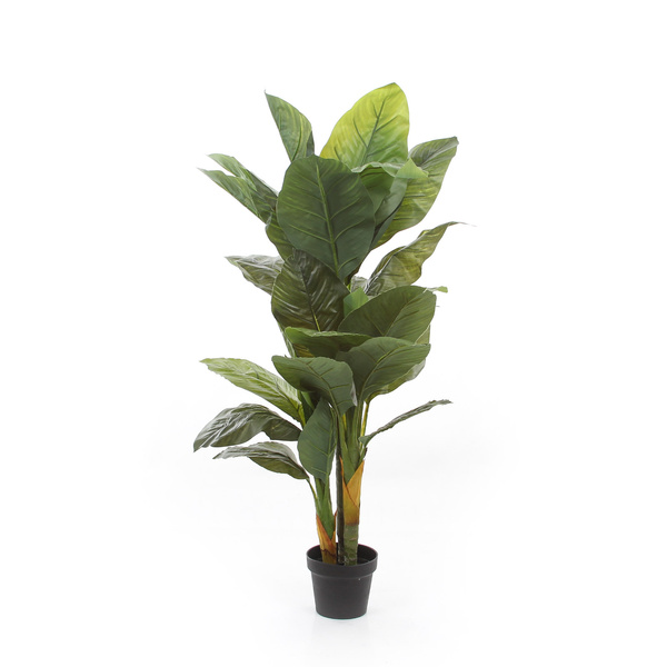 Sztuczny skrzydłokwiat spathiphyllum 130 cm 28 liści