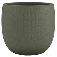 oliwkowy / olive green