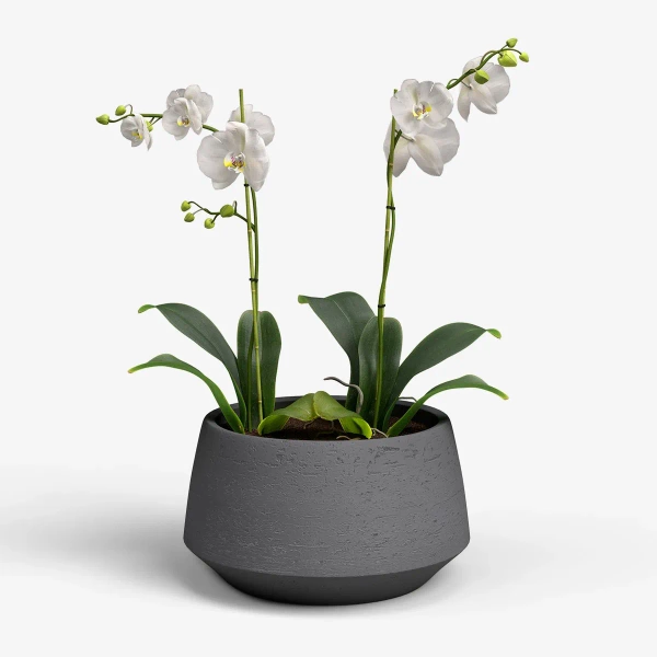 Venus Bowl 27/15 antracytowa misa ceramiczna