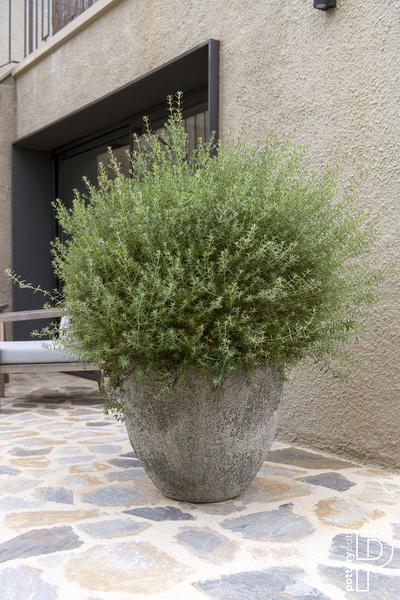 BERND L 53/60 donica naturalna tekstura cesarska biel