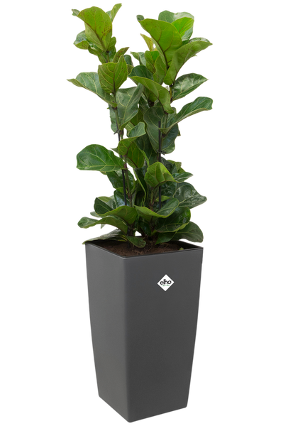 Milano Diamond 25x25/47 doniczka kwadratowa wysoka czarna połysk