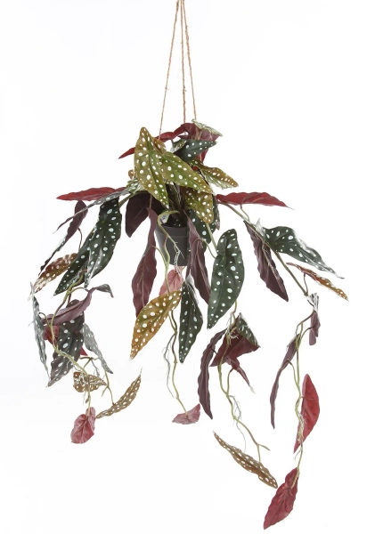 Sztuczna Begonia Maculata wisząca 80 cm w doniczce