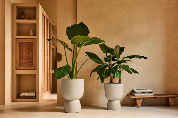 Amber Coupe Round 35/49 beżowa stylowa donica do salonu