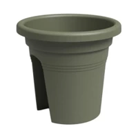 zielony
