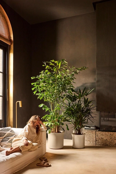 June Tulip 47/43 beżowa donica do ogrodu balanced beige