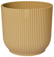 żółty / butter yellow