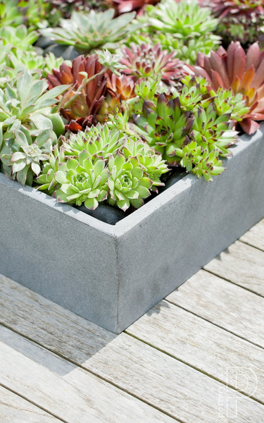 Jack M 50x50/10 szara donica kwadratowa płaska