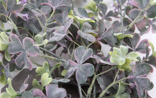 Sztuczna Szczawik Oxalis pnącze 70 cm