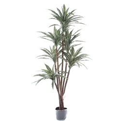 Sztuczna Dracena 150-160 cm 150 liści naturalny pień