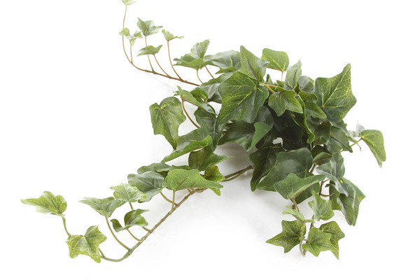 Sztuczny Bluszcz English Hedera wiszący pnącze 45 cm zielony