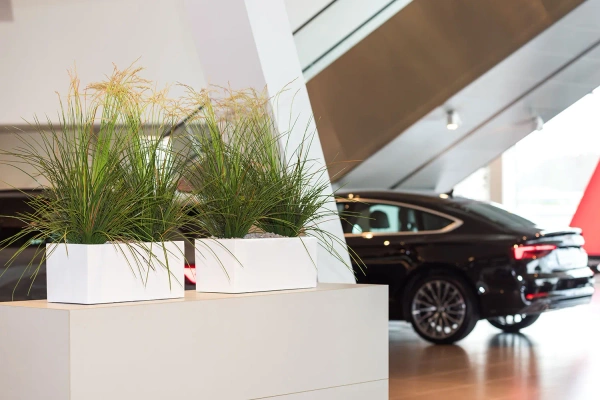 Balcony S 50x20/20 prostokątna doniczka biała lakierowana