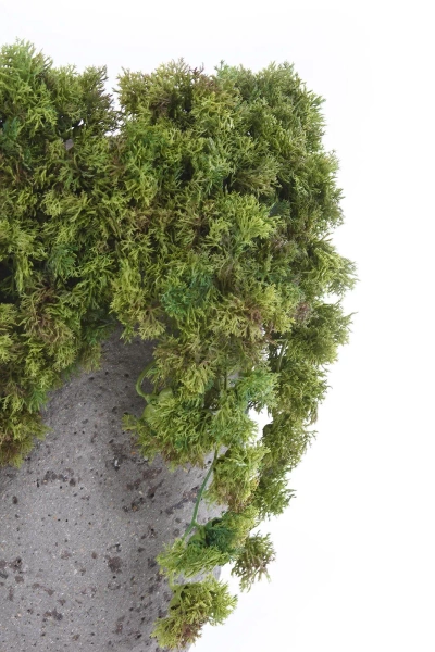 Sztuczny mech islandzki pnącze 36 cm OGNIOODPORNY flame retardant