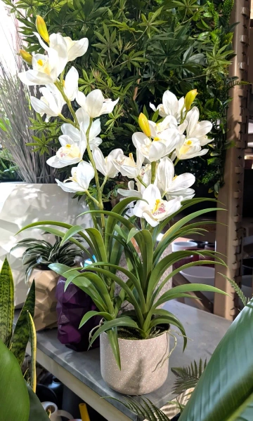 Sztuczny storczyk Cymbidium biały 70 cm w doniczce