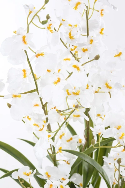 Sztuczne oncydium Motylnik 98 cm białe w doniczce