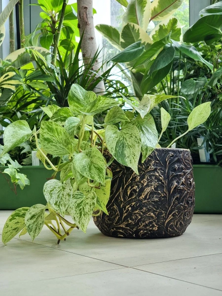 Arthur Oval 41x20/26 owalna złota osłonka ceramiczna