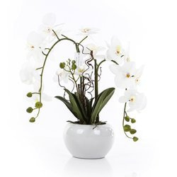 Sztuczny storczyk Phalenopsis 55 cm biały w białej ceramicznej doniczce
