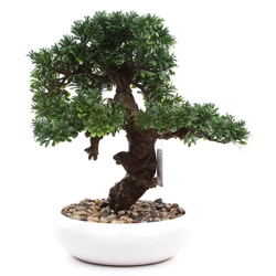 Sztuczne drzewko Bonsai Fikus mini 37 cm w białej doniczce