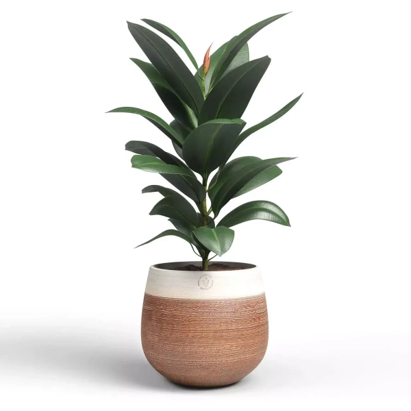 Antheia 19/17 dwukolorowa osłonka z ceramiki terakota