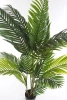Sztuczna palma Kentia 160 cm