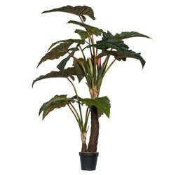 Sztuczna Alokazja Alocasia 220 cm drzewko