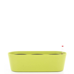 Zestaw do hydroponiki 11/9 w zielonej osłonce podłużnej Flori 36x14/11