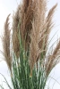 Sztuczna Trawa trzcinowa z kłosami 165 cm