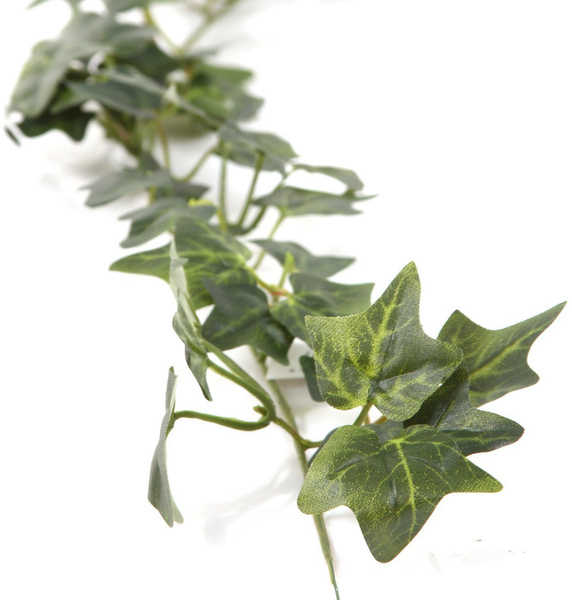 Sztuczny bluszcz hedera girlanda 180 cm 168 liści