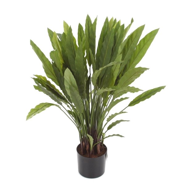 Sztuczna Kalatea Calathea 84 cm