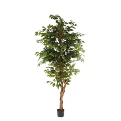 Sztuczny wysoki Fikus Benjamina 180-200 cm na drewnianym pniu