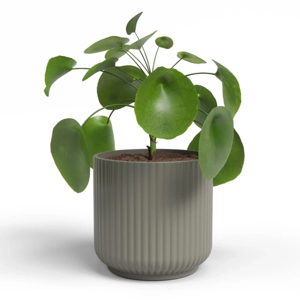 Luna 11/11 osłonka w prążki ceramiczna taupe