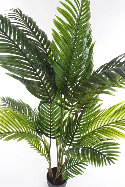 Sztuczna palma Kentia 160 cm