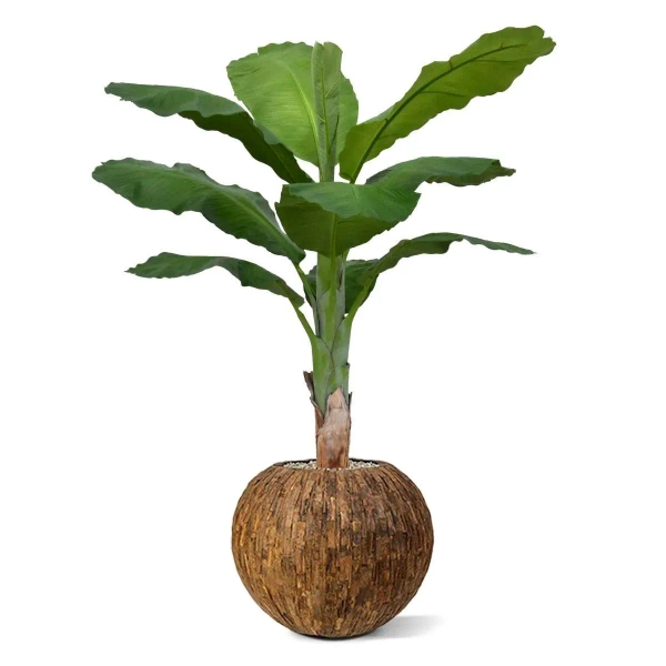 Sztuczny Bananowiec 165 cm