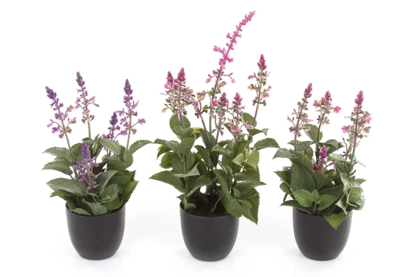 Sztuczna szałwia różowa 39 cm w doniczce zioła