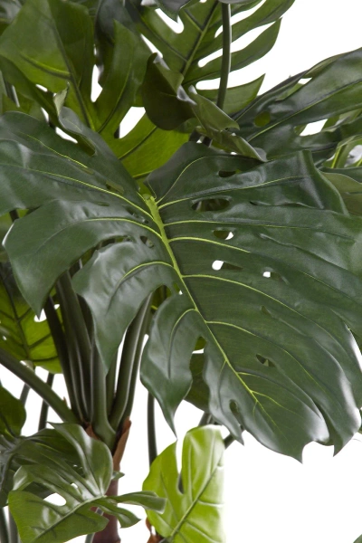 Sztuczna Monstera 140 cm na drewnianych pniach deluxe