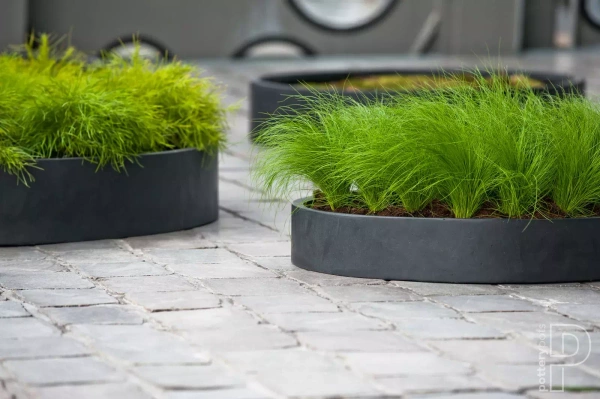 Max Low XXL 100/14 płaska duża donica szara