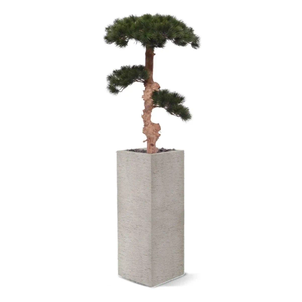 Sztuczny Bonsai Sosna Pinia 110 cm deluxe