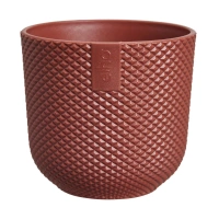 toskańska czerwień / tuscan red