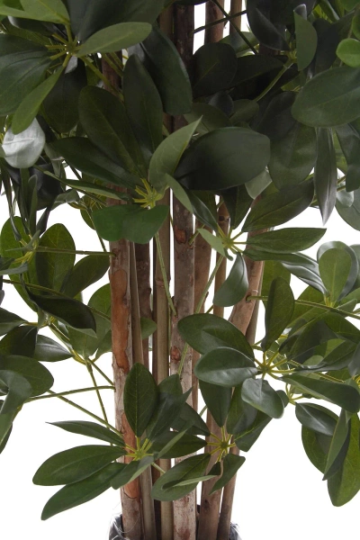 Sztuczna Schefflera gęsta na naturalnych pniach 120 cm deluxe